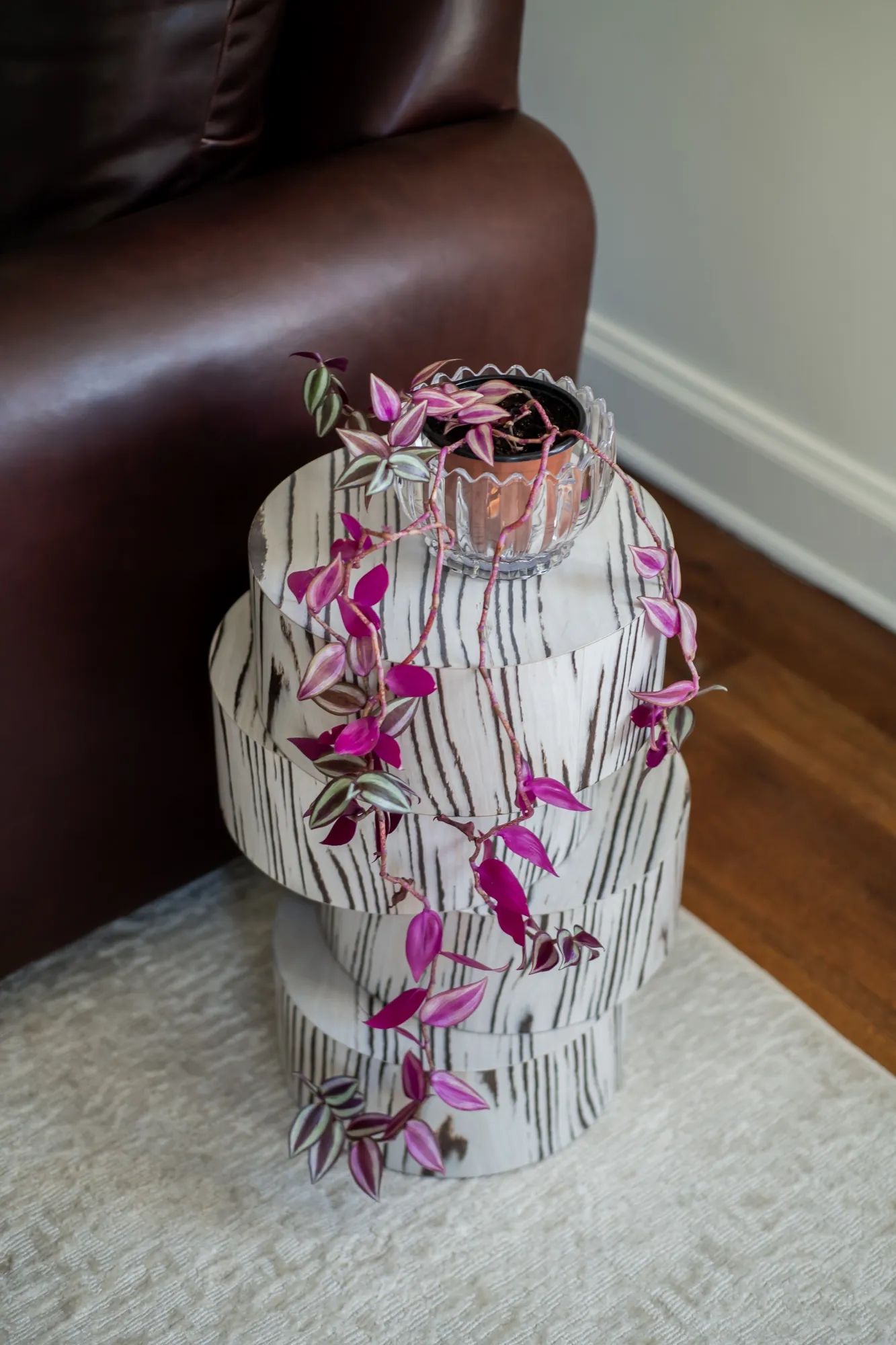 Tiered birch side table with trailing wandering jew plant