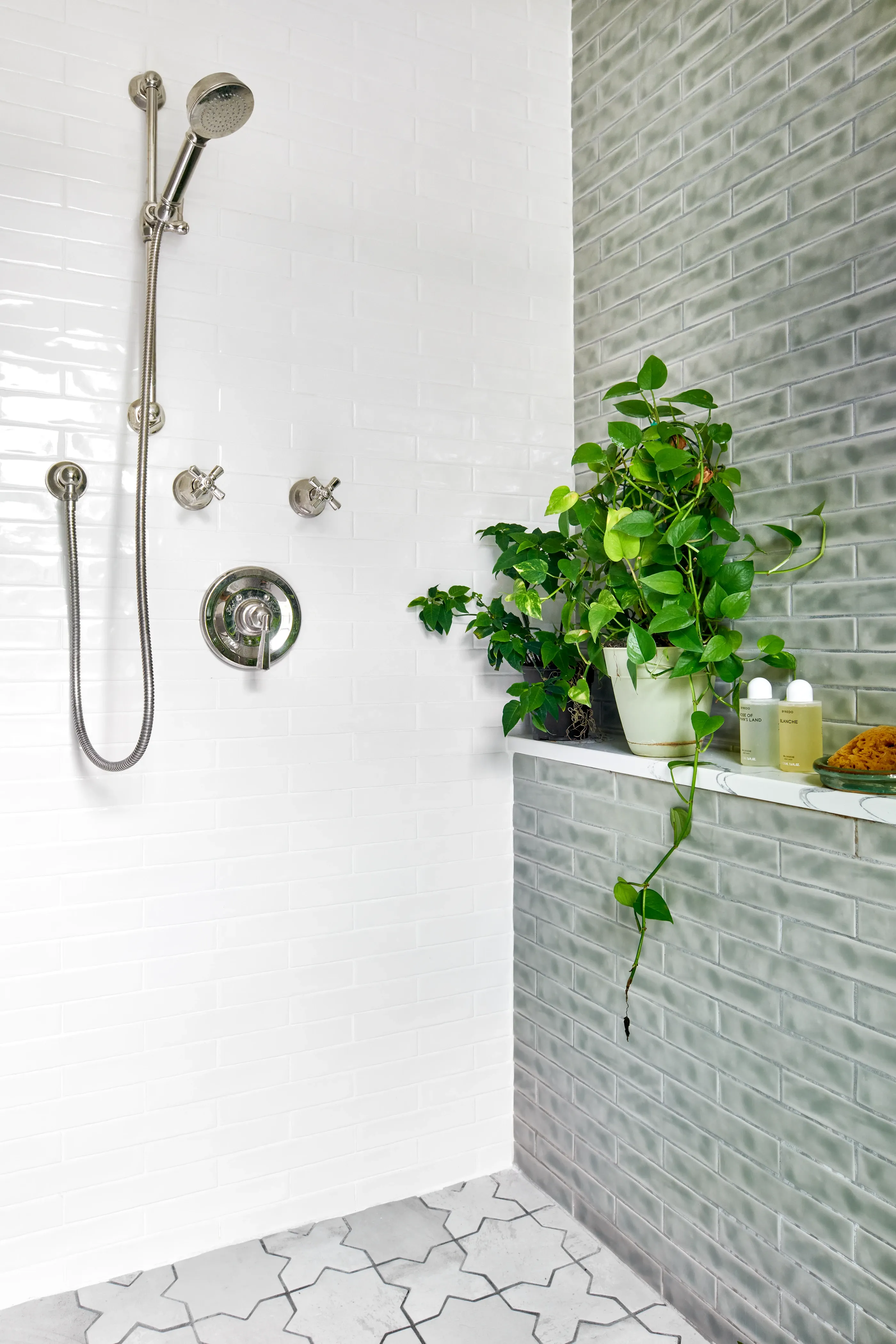 Walk-in shower with sage accent wall, brushed nickel fixtures, and trailing pothos on marble ledge